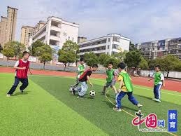 内格雷拉案对西甲联赛声誉与商业价值的深远影响
